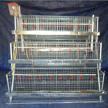 Cage de poulet Cage Coop